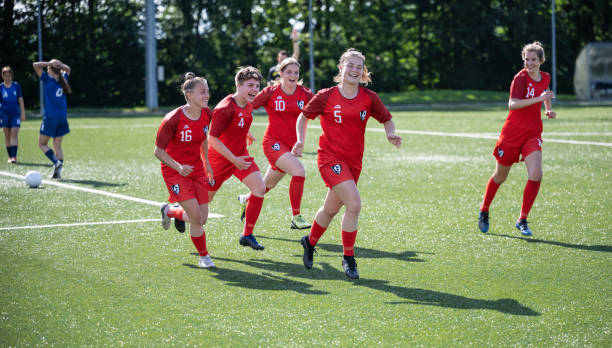 这与近年来 这与近年来