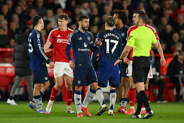 的太空大豆 的太空大豆